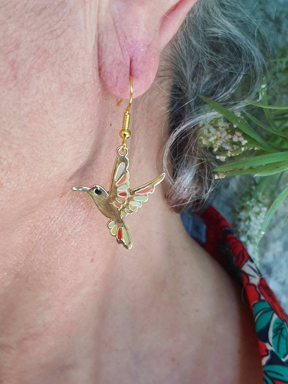 colibri